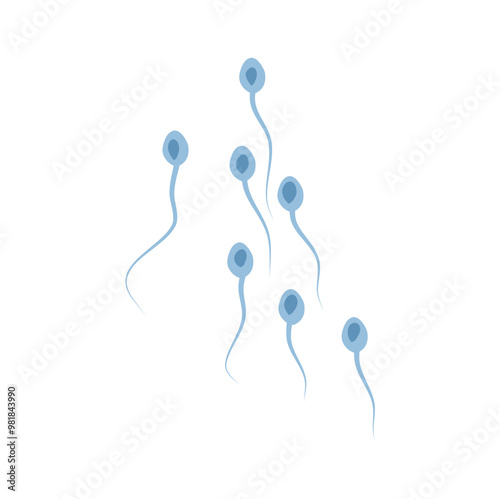 Spermatozoa