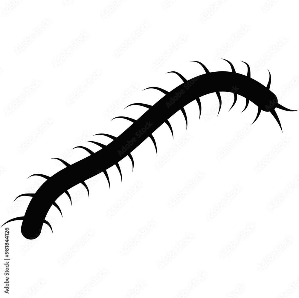 Centipede Silhouette