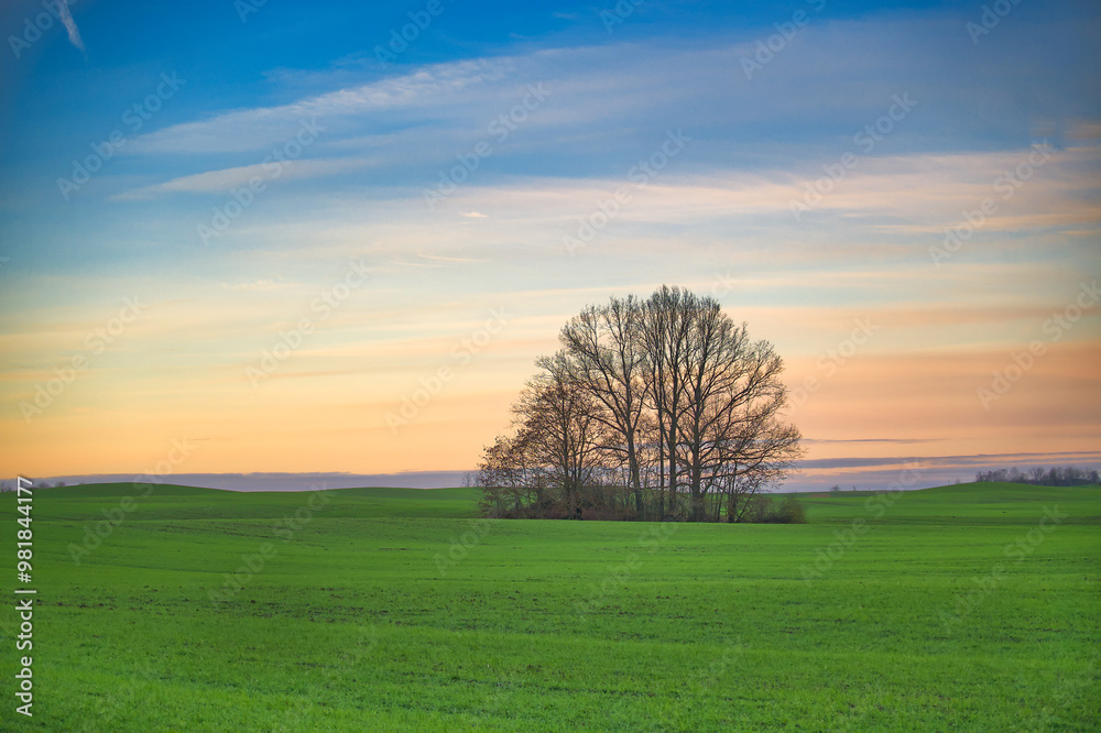 Serene sunset landscape with a lone tree in a vast green field under a colorful sky Serene sunset landscape with a lone tree in a vast green field under a colorful sky