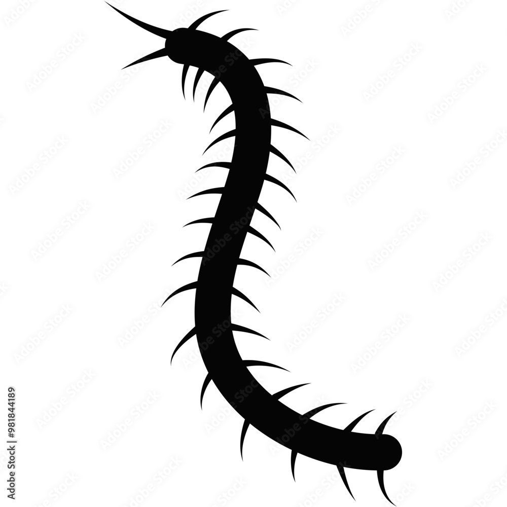 Obraz premium Centipede Silhouette