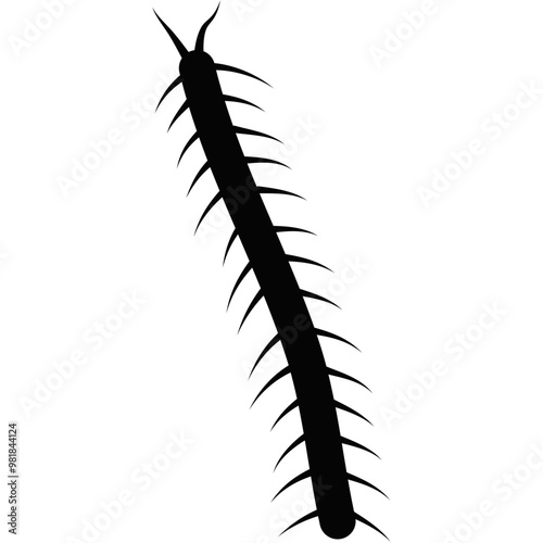 Centipede Silhouette