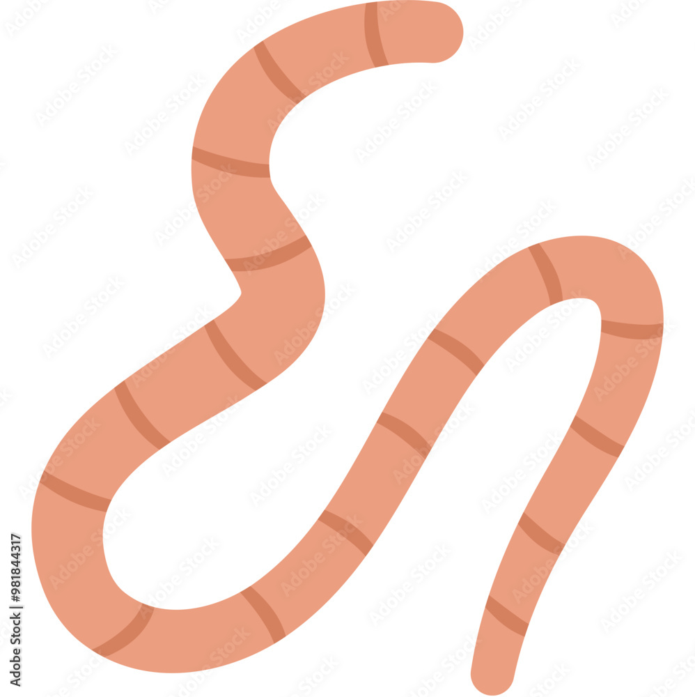 Flat Roundworm Flat Roundworm