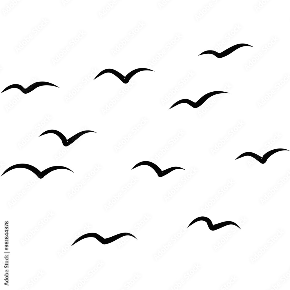 Seagull Flying Bird Silhouette Seagull Flying Bird Silhouette