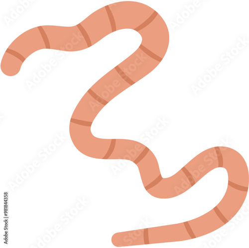 Flat Roundworm