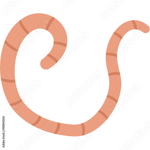 Flat Roundworm