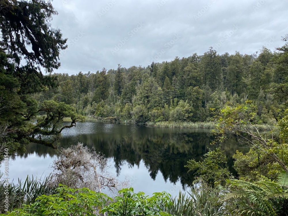 Views of Lake Matheson on the cloudy day, West coast , South Island, New Zealand , reflection of trees in the lake Views of Lake Matheson on the cloudy day, West coast , South Island, New Zealand , reflection of trees in the lake