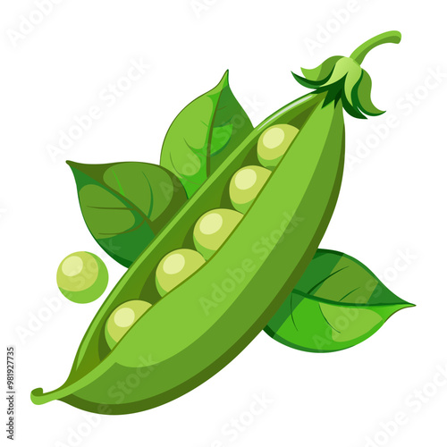 Fresh green peas in a pod, farm-to-table fresh, nutrient-dense organic vegetables, garden-picked, wholesome healthy snack, summer pea pods