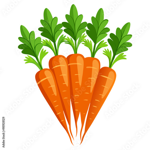 Organic ripe carrots with green leaves isolated on white background, ideal healthy root vegetables for vegan, vegetarian and healthy eating stock photo
