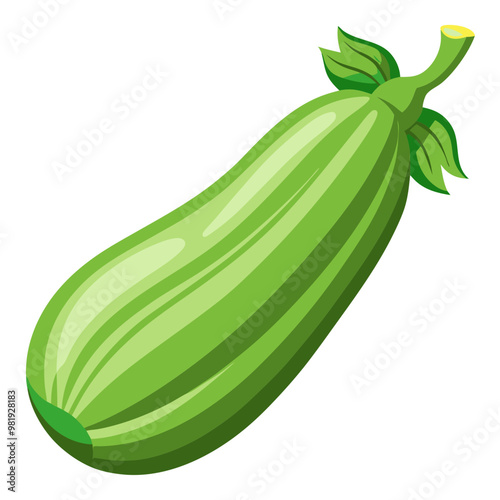 Fresh organic ripe zucchini, perfect green vegetables for healthy eating, packed with nutrients, ideal for vegan and vegetarian recipes