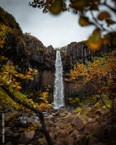 European Nature