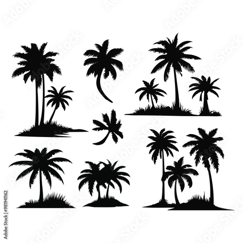 Set of black silhouettes of coconut tree. Black palms tree photo