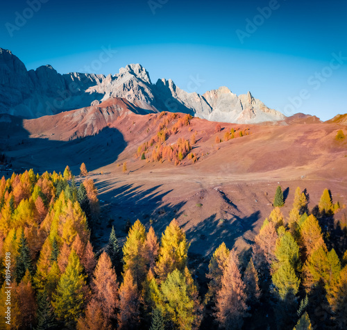 Majestic autumn scene of Fuchiade valley. Wonderful evening view of Dolomite Alps, Italy, Europe. View from flying drone of golden larch trees forest. Beauty of nature concept background. photo