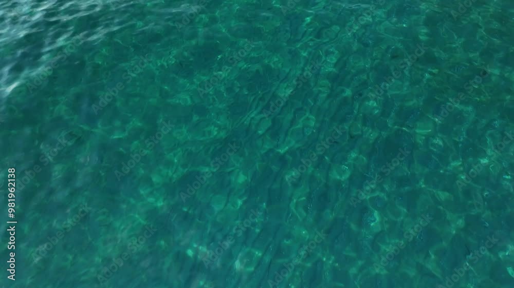 Clear blue water with sunlight creating shimmering patterns beneath the surface