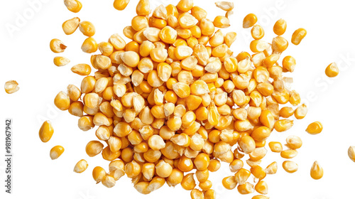 corn kernels on a white transparent background