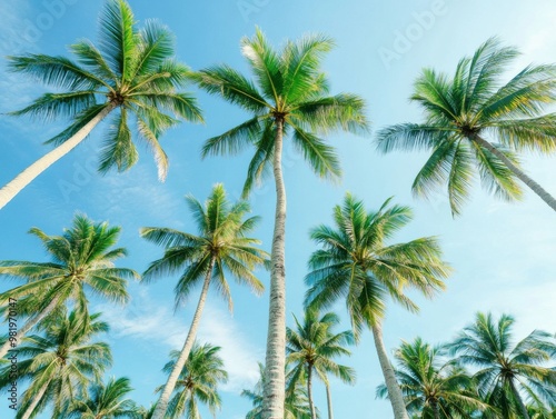 Wallpaper Mural A serene view of tall palm trees against a bright blue sky, perfect for conveying tropical vibes and relaxation. Torontodigital.ca