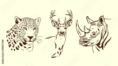 Set of hand drawn wild animals deer rhino and leopard on white background. Vector illustration.