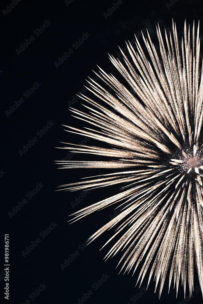 Obraz premium 日本の花火 Fireworks