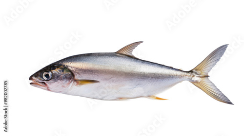 Milkfish full body isolate on transparent background