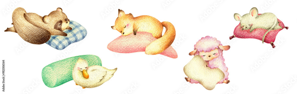 Fototapeta premium 枕で眠る動物たちのセット2 手描き色鉛筆画