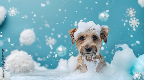 Adorable Dog in Bubble Bath with Snowflake Decorations photo