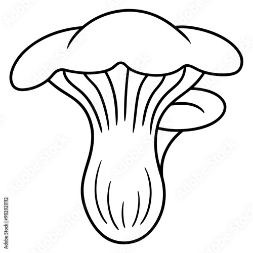 chanterelle mushroom outline coloring book page line art drawing