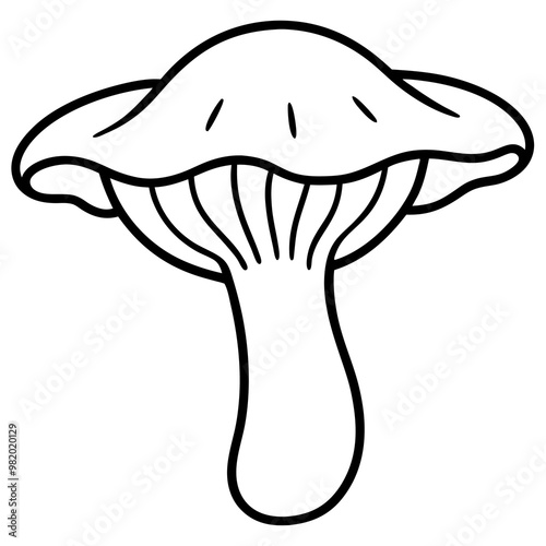 chanterelle mushroom outline coloring book page line art drawing