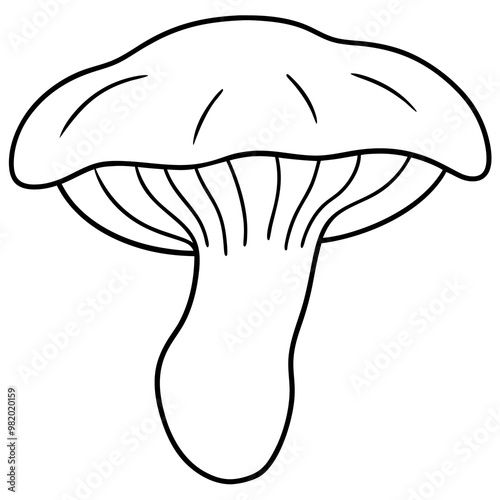 chanterelle mushroom outline coloring book page line art drawing