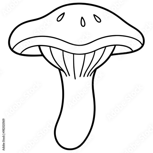 chanterelle mushroom outline coloring book page line art drawing