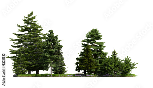 forest various tree, grass and plant, flat ground, isolated transparent background