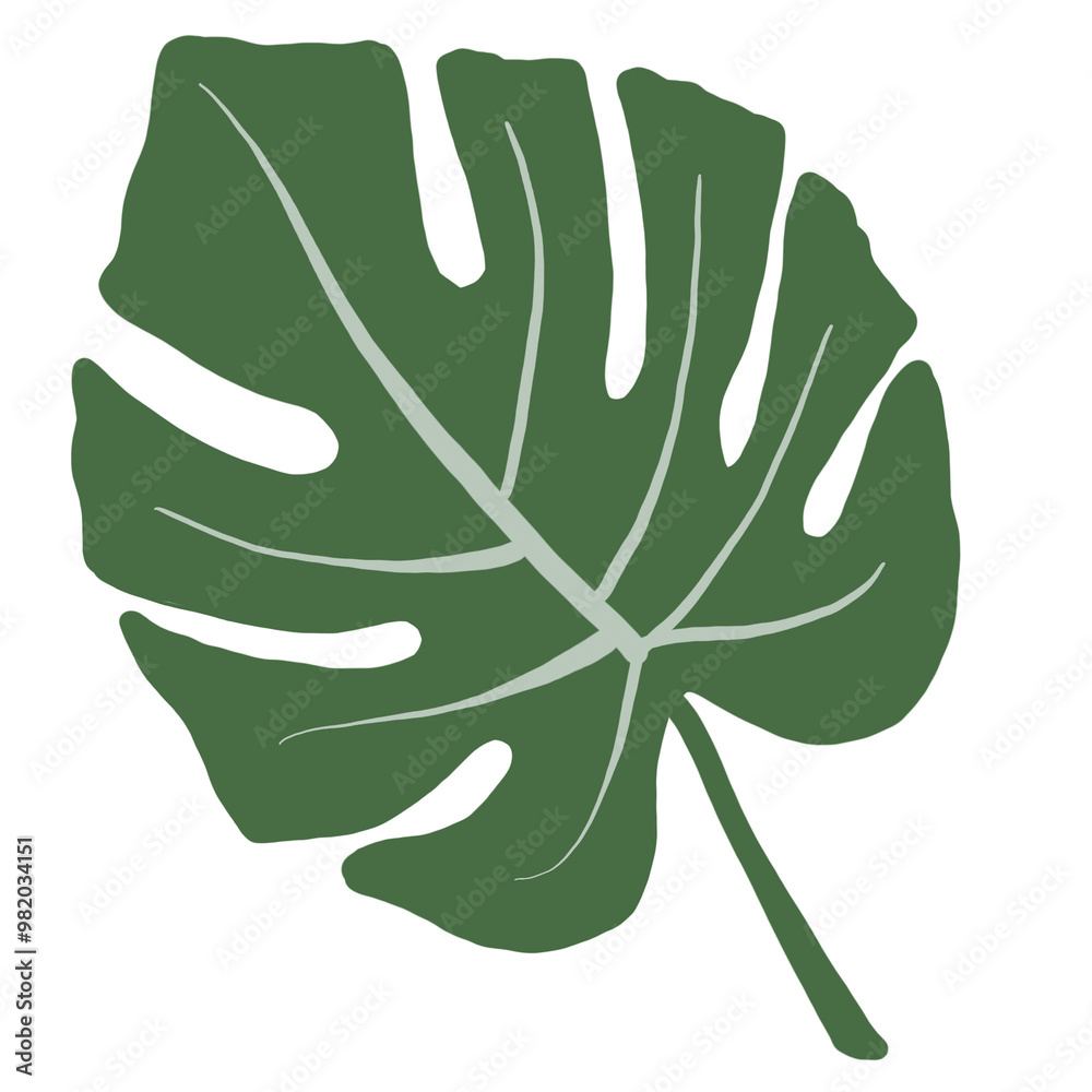 leaf illustration isolated tranparant elements leaf illustration isolated tranparant elements