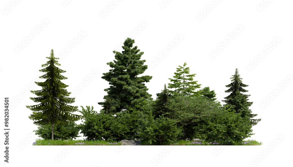 forest various tree, grass and plant, flat ground, isolated transparent background