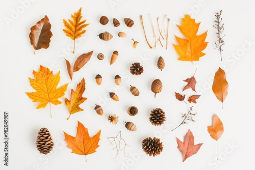 Assorted Autumn Leaves with Acorns and Pine Cones – Nature Flat Lay for Seasonal Design