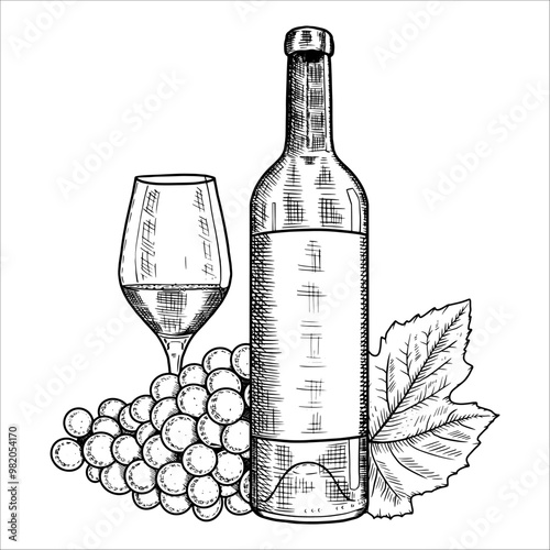 Hand drawn bottle of wine, glass, grapes. Vector illustration