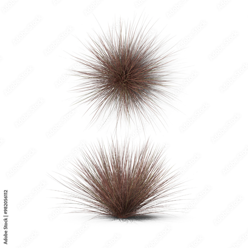grass on transparent background grass on transparent background