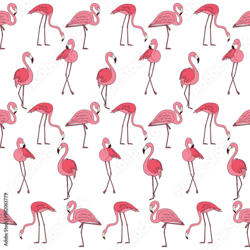 seamless pattern with Flamingos or flamingoes are a type of wading bird in the family Phoenicopteridae, A group of flamingoes is called a 