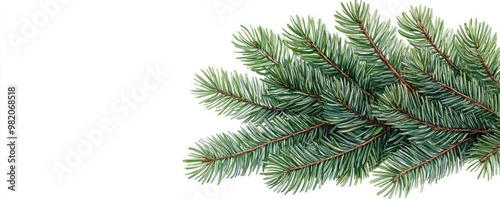 Pine tree needles, winter greenery bouquet, watercolor illustration, soft brushstrokes, botanical design, hand-drawn effect