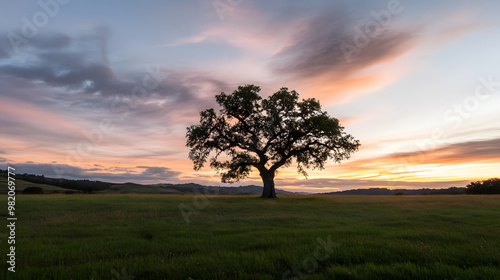 Lone tree in a serene landscape at sunset with vibrant skies and lush green field 