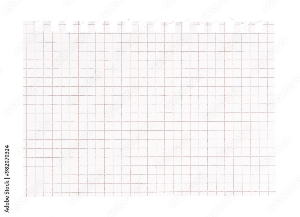 blank striped torn graph paper or quadrille paper isolated on a transparent background blank striped torn graph paper or quadrille paper isolated on a transparent background