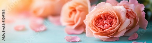 Roses in full bloom, delicate petals, soft gradient hues, watercolor style