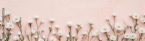 Pure white wildflowers, pastel accents, serene nature, watercolor style