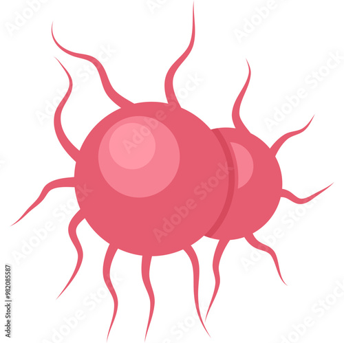 Gonorrhea Bacteria