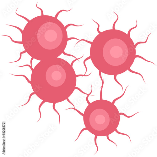 Gonorrhea Bacteria