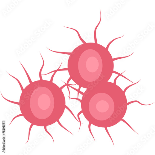 Gonorrhea Bacteria