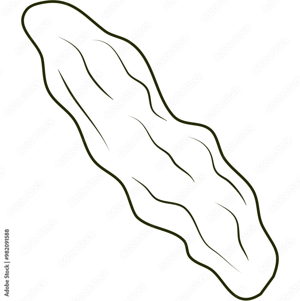 Hand Drawn Pickle Hand Drawn Pickle