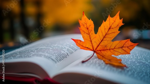 The crisp autumn air invites reflection. A vibrant maple leaf marks a page in a book, a symbol of solitude and the joy of self-education.