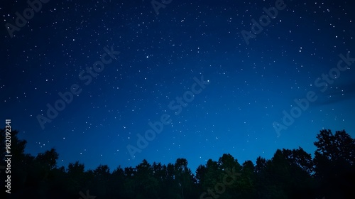 Night Sky with Stars and Silhouetted Trees