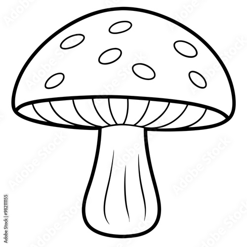 mushroom boletus outline coloring book page line art drawing