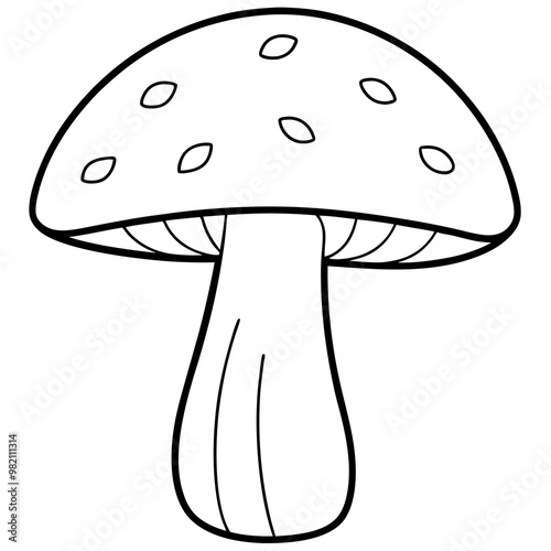 mushroom boletus outline coloring book page line art drawing