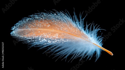 A close-up of a feather covered in shimmering water droplets, highlighting the intricate details of the feather's texture and soft strands against a dark background photo