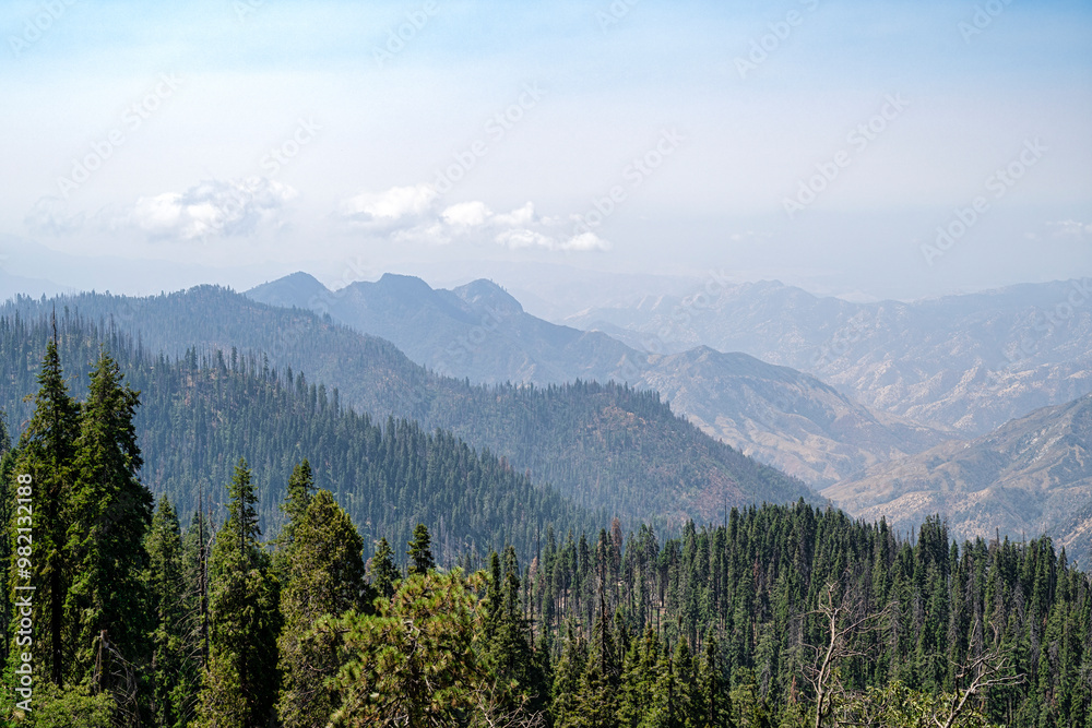 Fototapeta premium View of the peaks of the Sierra Nevada mountain range, California, USA. The distand peaks are hazy in the bright sunlight, and pine tree cover the foreground
